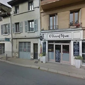  Appartement Immeuble De Charme La Tronche